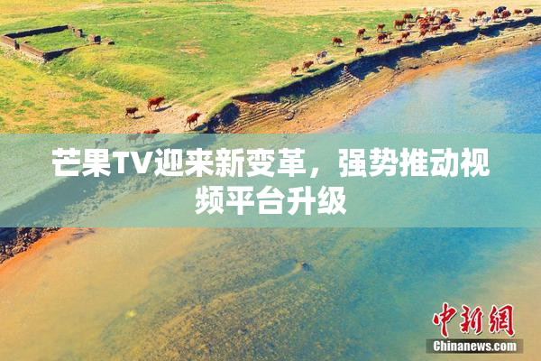 芒果TV迎来新变革，强势推动视频平台升级