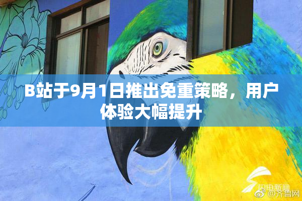 B站于9月1日推出免重策略，用户体验大幅提升