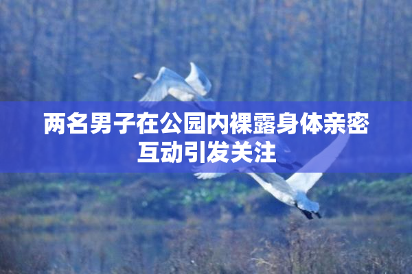 两名男子在公园内裸露身体亲密互动引发关注