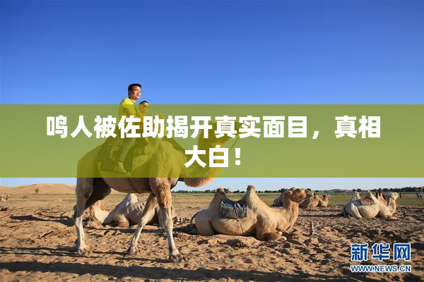 鸣人被佐助揭开真实面目，真相大白！