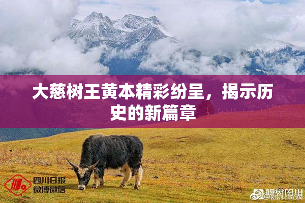 大慈树王黄本精彩纷呈，揭示历史的新篇章