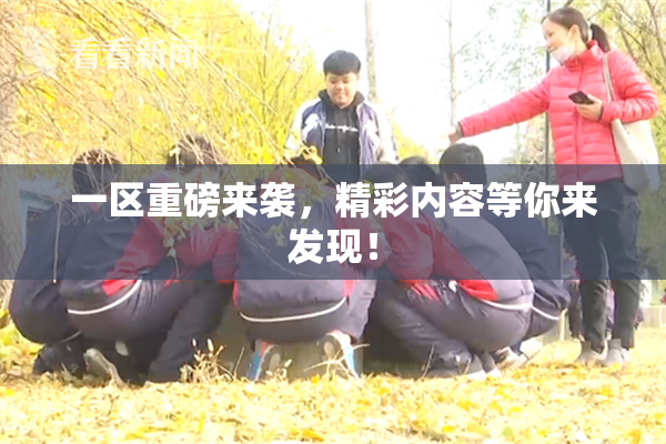 一区重磅来袭，精彩内容等你来发现！