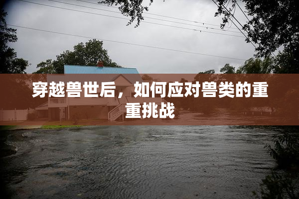 穿越兽世后，如何应对兽类的重重挑战
