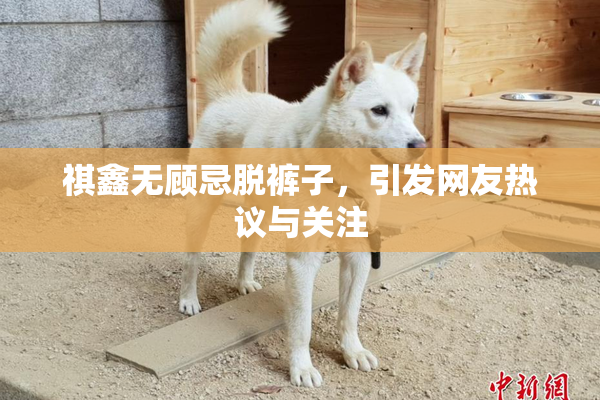 祺鑫无顾忌脱裤子，引发网友热议与关注