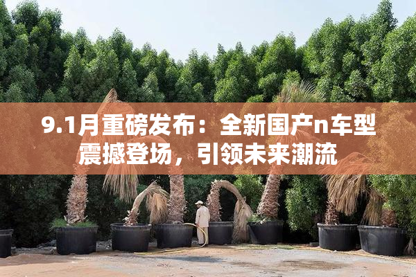 9.1月重磅发布：全新国产n车型震撼登场，引领未来潮流