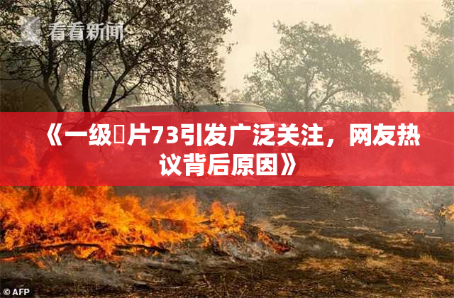 《一级婬片73引发广泛关注，网友热议背后原因》