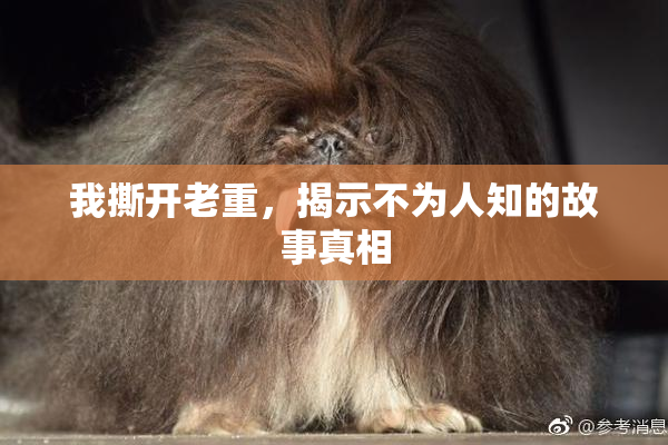 我撕开老重，揭示不为人知的故事真相