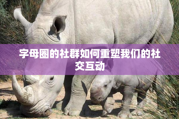 字母圈的社群如何重塑我们的社交互动