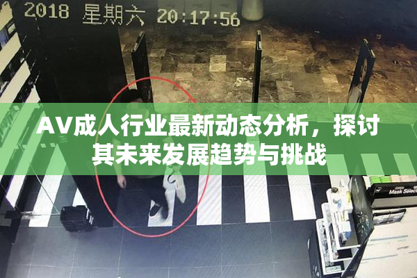 AV成人行业最新动态分析，探讨其未来发展趋势与挑战