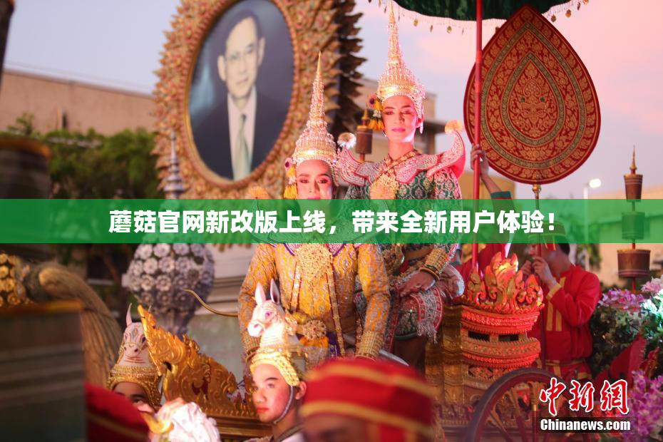 蘑菇官网新改版上线，带来全新用户体验！