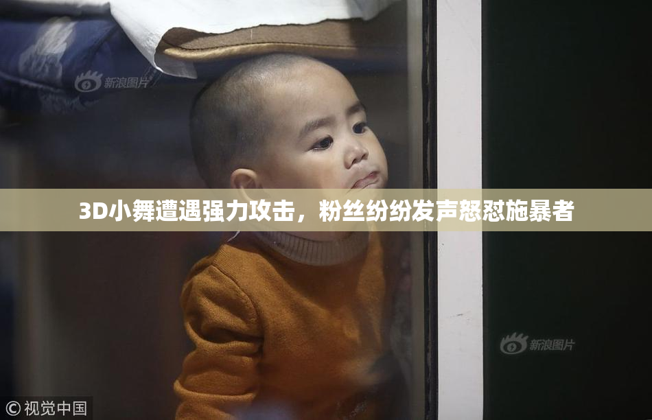 3D小舞遭遇强力攻击，粉丝纷纷发声怒怼施暴者
