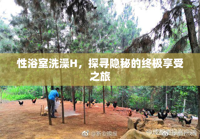 性浴室洗澡H，探寻隐秘的终极享受之旅
