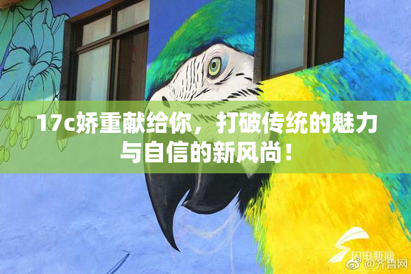 17c娇重献给你，打破传统的魅力与自信的新风尚！