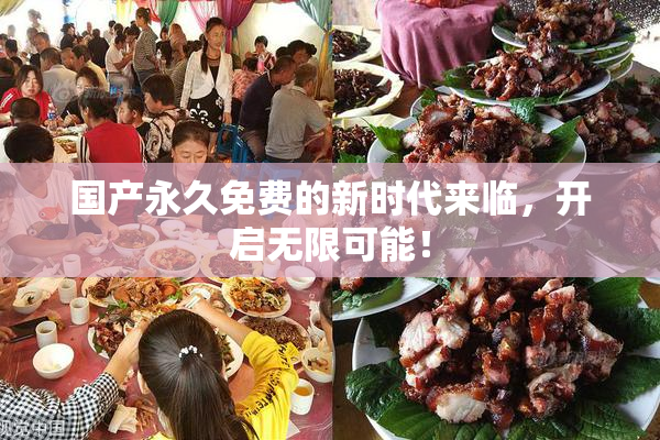 国产永久免费的新时代来临，开启无限可能！