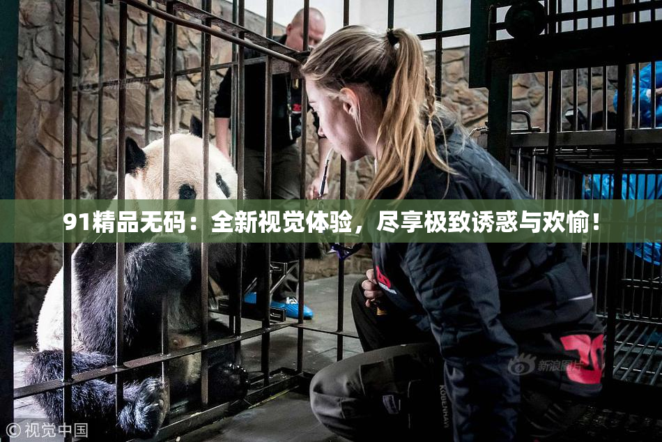 91精品无码：全新视觉体验，尽享极致诱惑与欢愉！