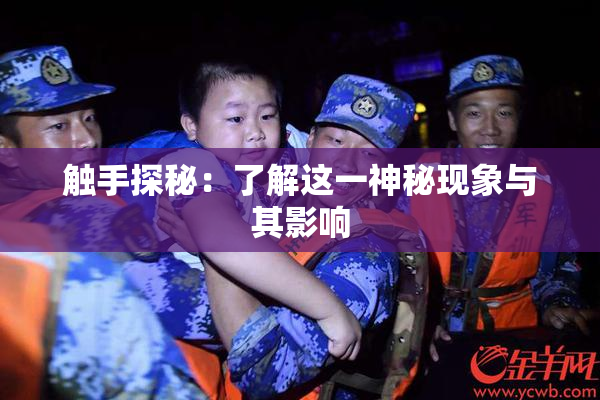 触手探秘：了解这一神秘现象与其影响