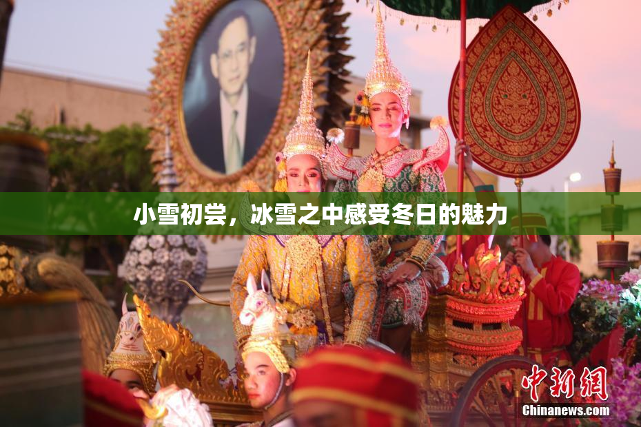 小雪初尝，冰雪之中感受冬日的魅力