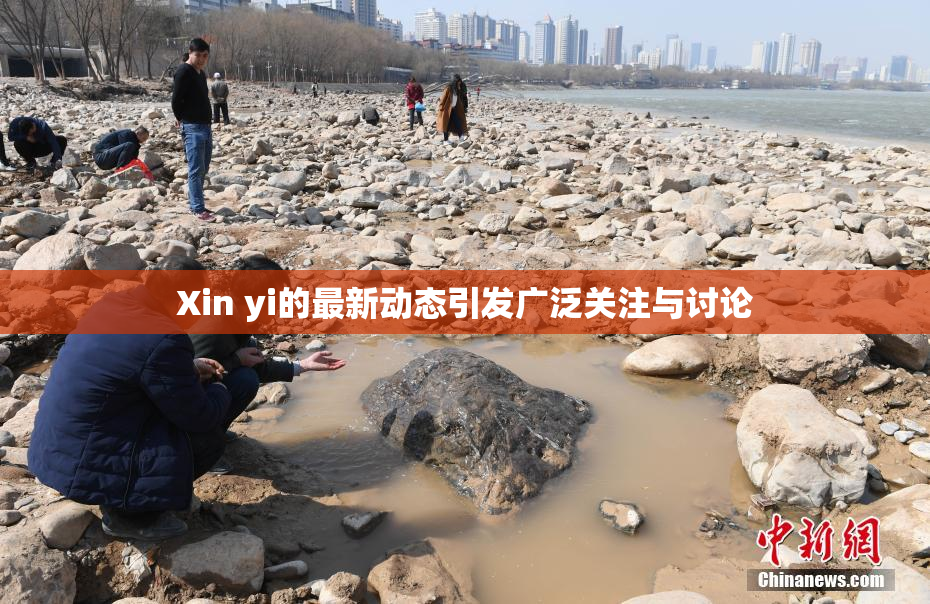 Xin yi的最新动态引发广泛关注与讨论