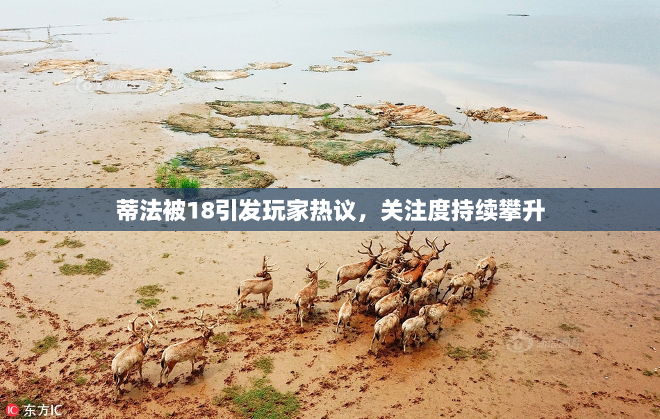 蒂法被18引发玩家热议，关注度持续攀升