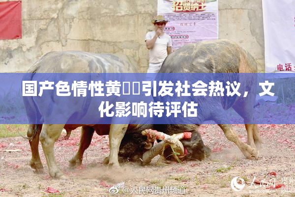 国产色情性黄❌‌引发社会热议，文化影响待评估
