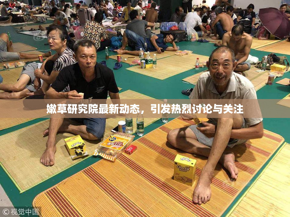 嫩草研究院最新动态，引发热烈讨论与关注