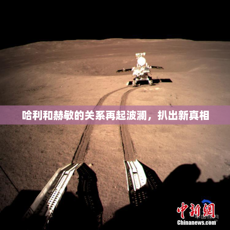 哈利和赫敏的关系再起波澜，扒出新真相