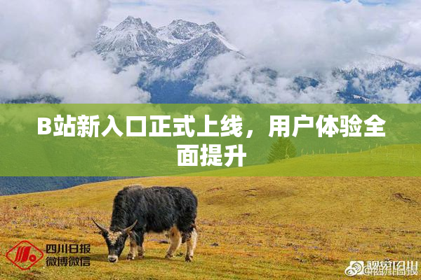 B站新入口正式上线，用户体验全面提升
