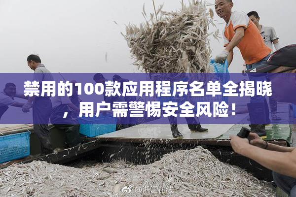 禁用的100款应用程序名单全揭晓，用户需警惕安全风险！