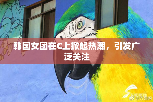 韩国女团在C上掀起热潮，引发广泛关注