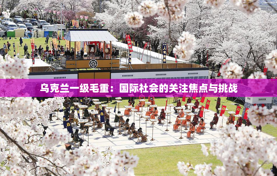 乌克兰一级毛重：国际社会的关注焦点与挑战