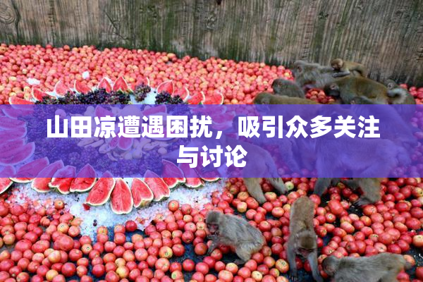 山田凉遭遇困扰，吸引众多关注与讨论