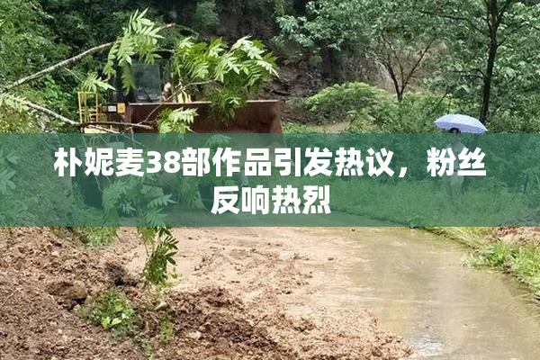 朴妮麦38部作品引发热议，粉丝反响热烈