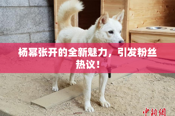 杨幂张开的全新魅力，引发粉丝热议！