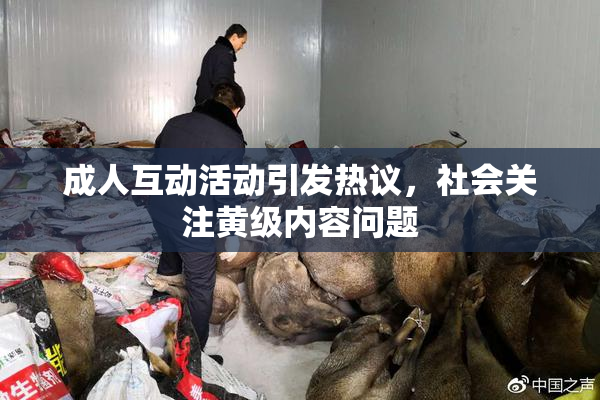 成人互动活动引发热议，社会关注黄级内容问题