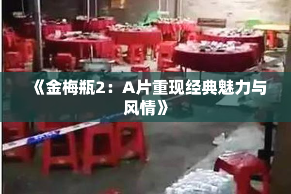 《金梅瓶2：A片重现经典魅力与风情》