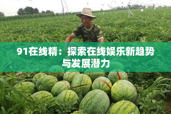 91在线精：探索在线娱乐新趋势与发展潜力