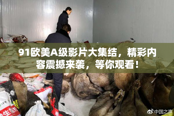 91欧美A级影片大集结，精彩内容震撼来袭，等你观看！