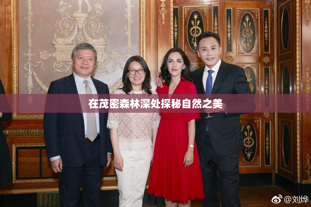 在茂密森林深处探秘自然之美