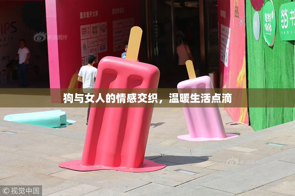 狗与女人的情感交织，温暖生活点滴