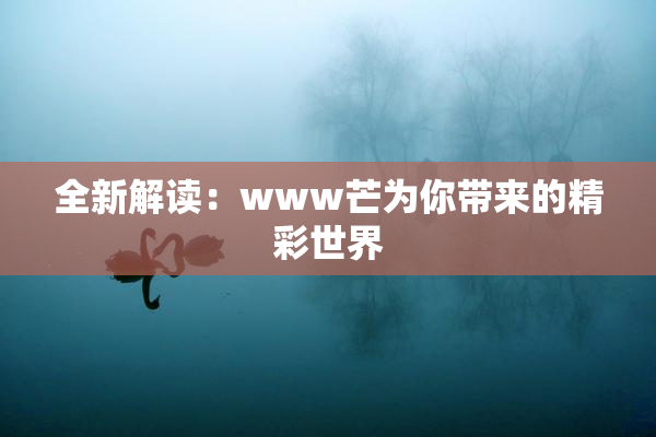 全新解读：www芒为你带来的精彩世界