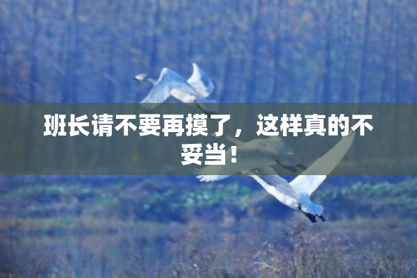 班长请不要再摸了，这样真的不妥当！