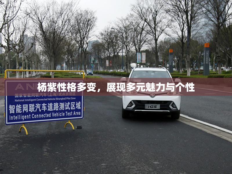 杨紫性格多变，展现多元魅力与个性