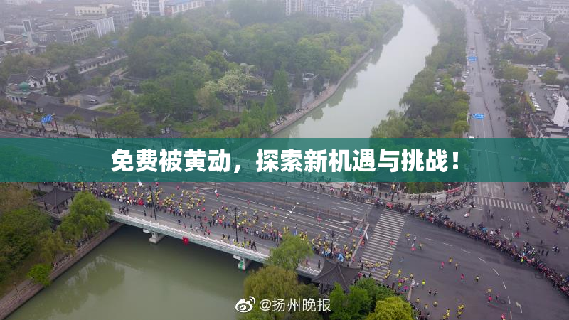 免费被黄动，探索新机遇与挑战！