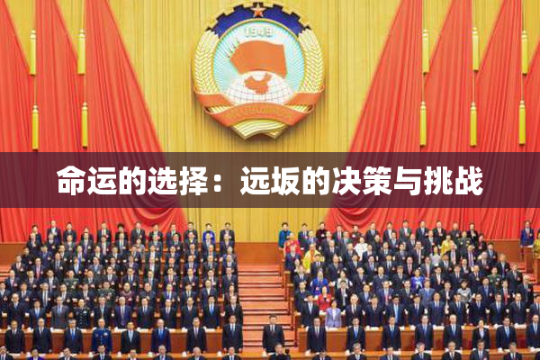 命运的选择：远坂的决策与挑战