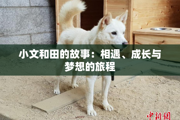 小文和田的故事：相遇、成长与梦想的旅程