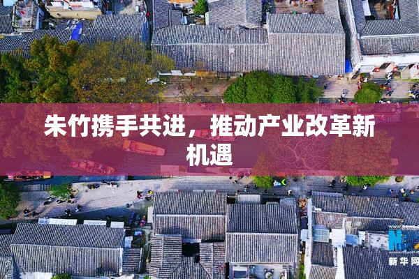 朱竹携手共进，推动产业改革新机遇