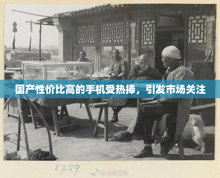 国产性价比高的手机受热捧，引发市场关注