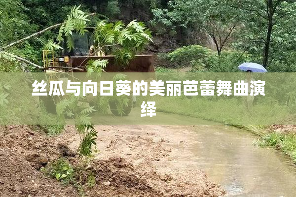 丝瓜与向日葵的美丽芭蕾舞曲演绎