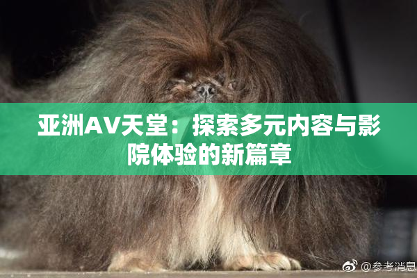 亚洲AV天堂：探索多元内容与影院体验的新篇章