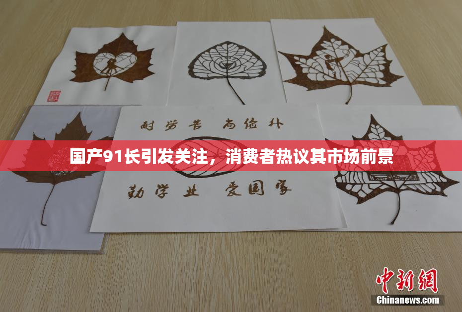 国产91长引发关注，消费者热议其市场前景